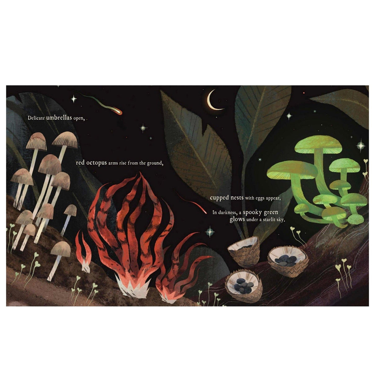 Print Books Mushroom Rain