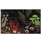 Image thumbnail: Print Books Mushroom Rain