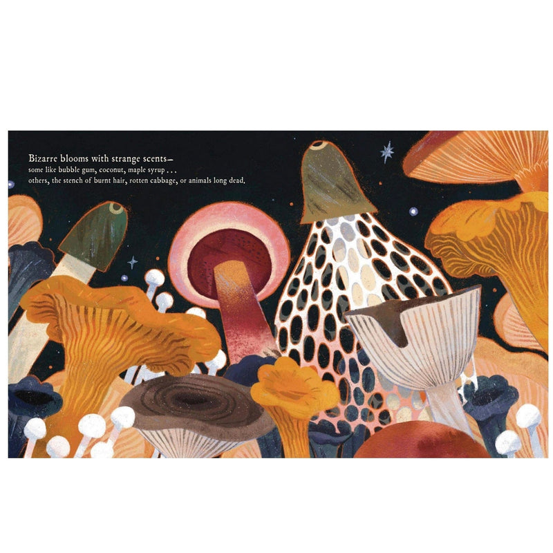 Print Books Mushroom Rain