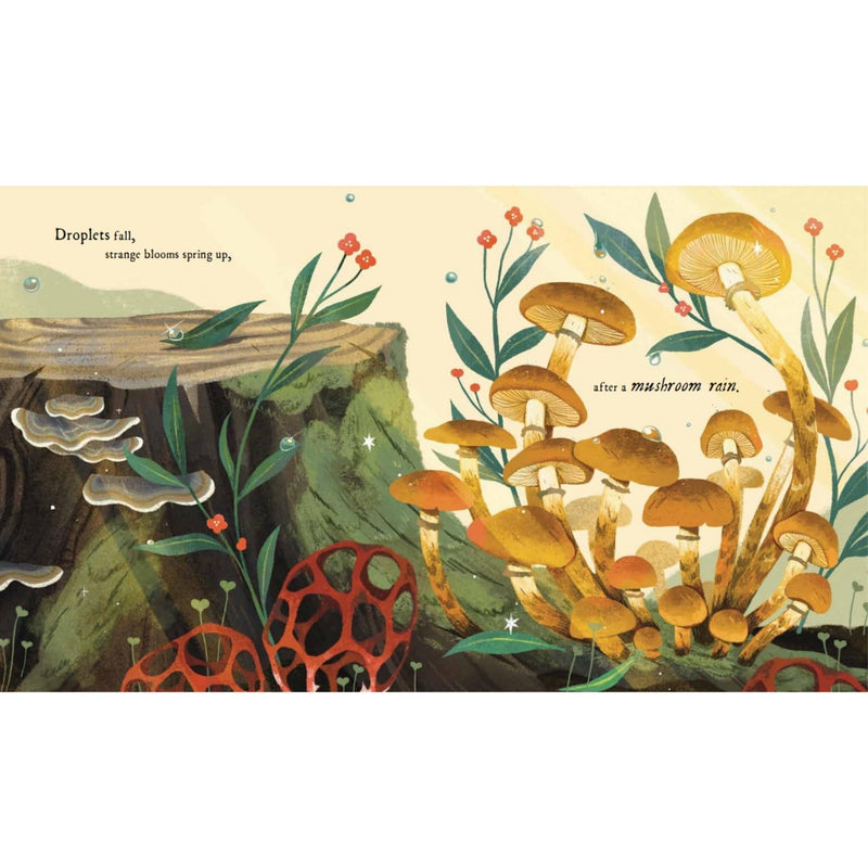 Print Books Mushroom Rain