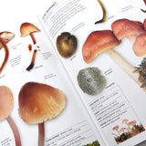 Image thumbnail: Print Books Mushrooms: How to Identify & Gather in the Wild