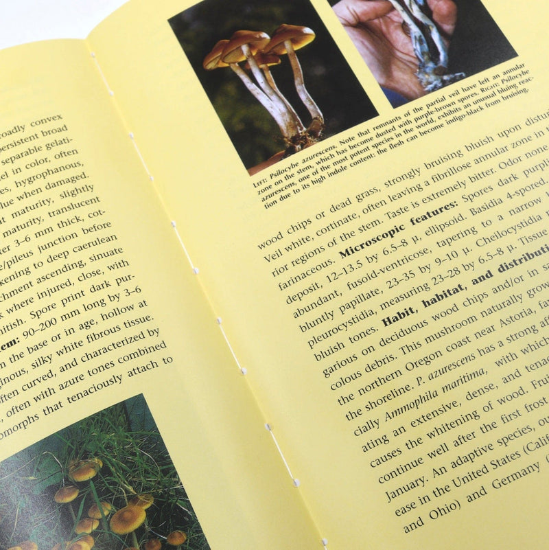 Print Books Psilocybin Mushrooms of the World: An Identification Guide
