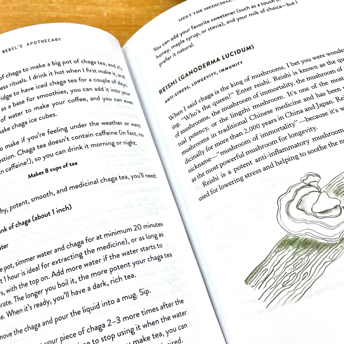 Print Books The Rebel’s Apothecary: A Practical Guide to Healing