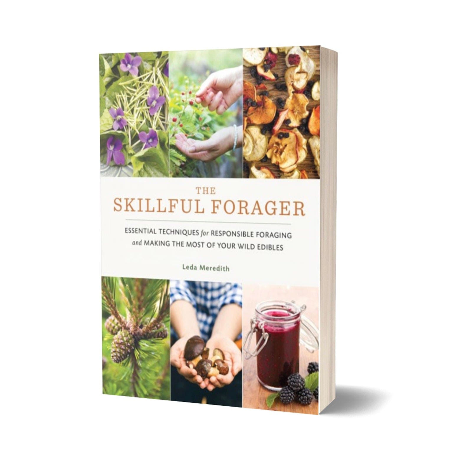 The Skillful Forager: Essential Techniques – North Spore