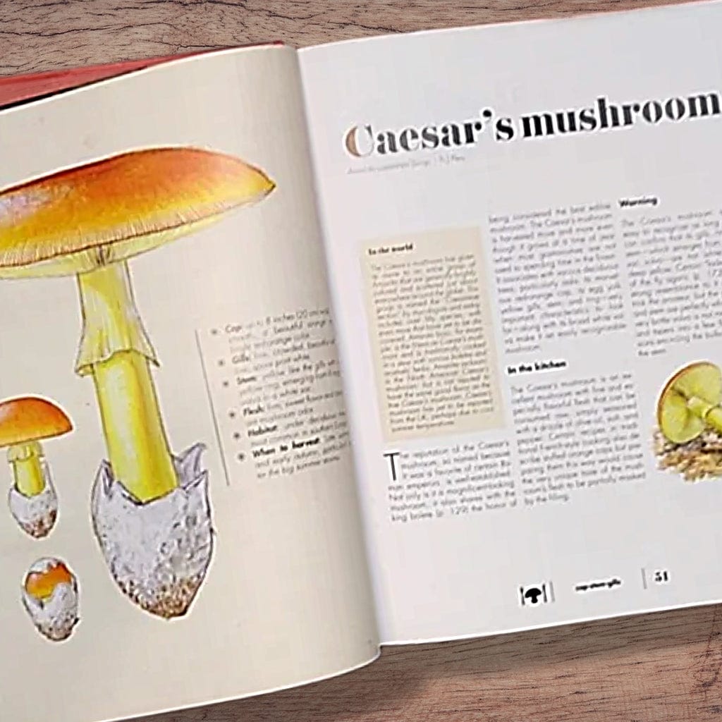 Print Books The Ultimate Guide to Mushrooms