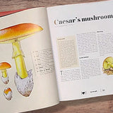 Image thumbnail: Print Books The Ultimate Guide to Mushrooms
