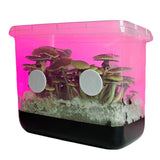 Image thumbnail: Retail Boomr Bag Sterile Manure Substrate | Wholesale