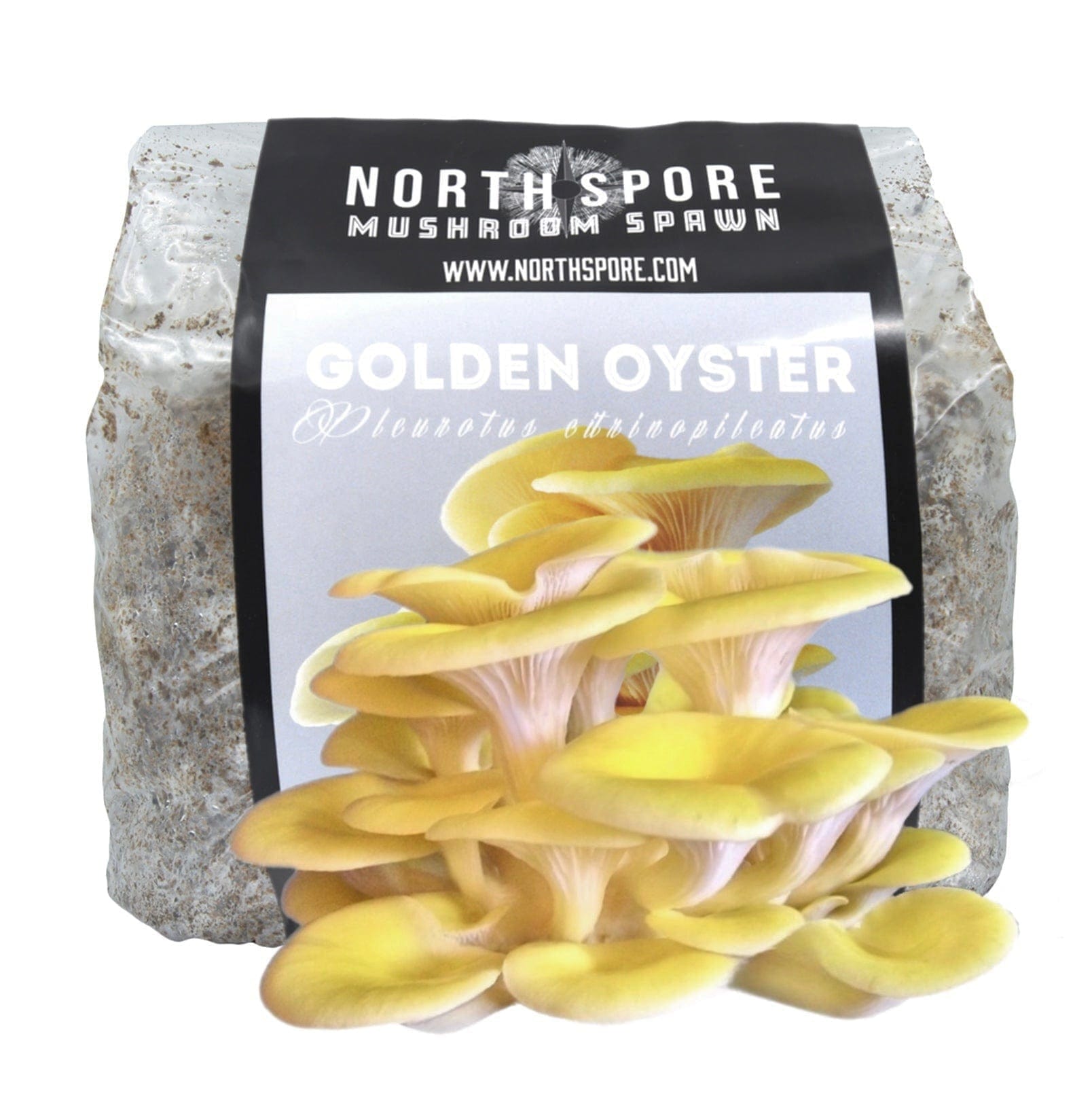 Choosing Straw for Oyster Mushroom Cultivation Blog