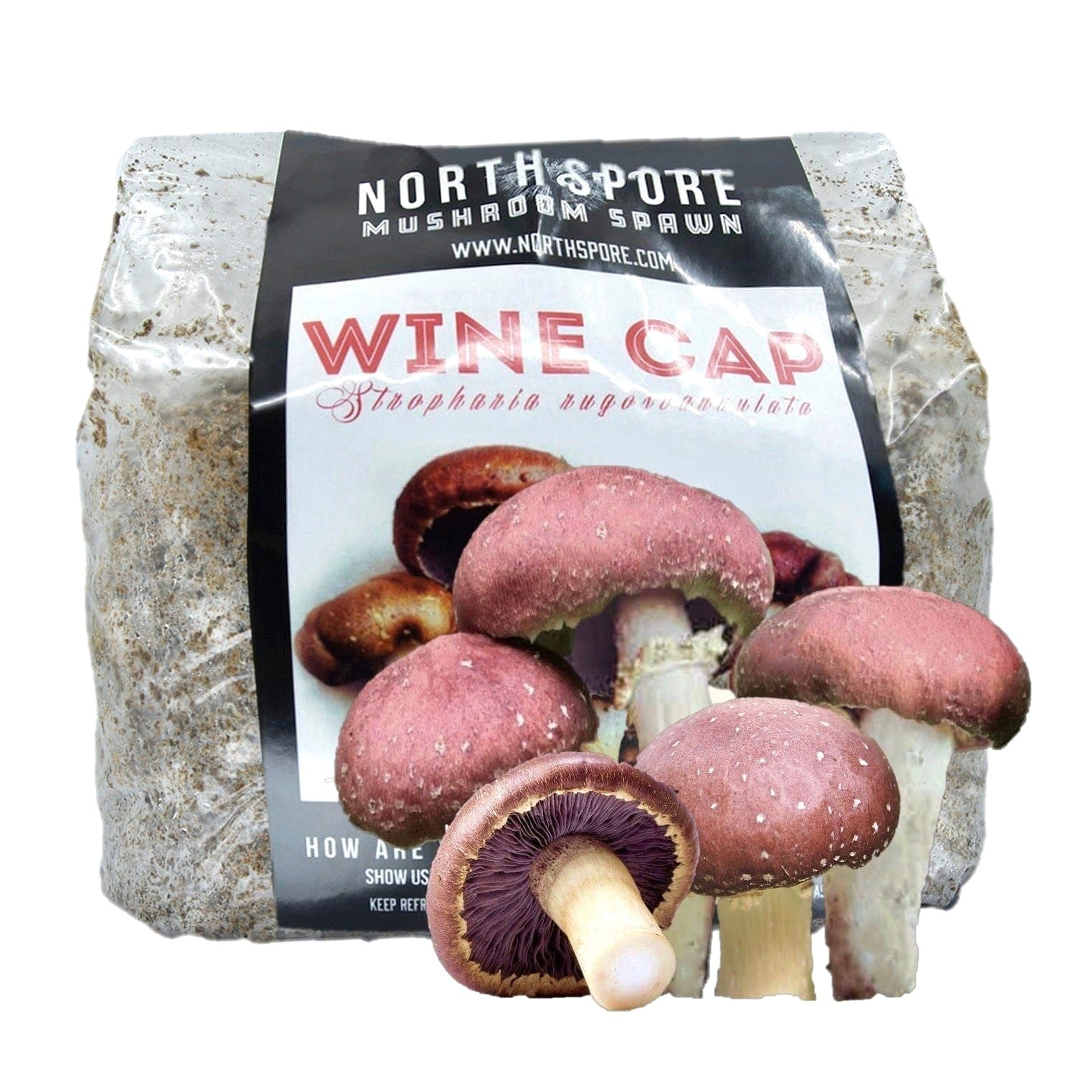 Organic Wine Cap (Garden Giant) Mushroom Sawdust Spawn – North Spore