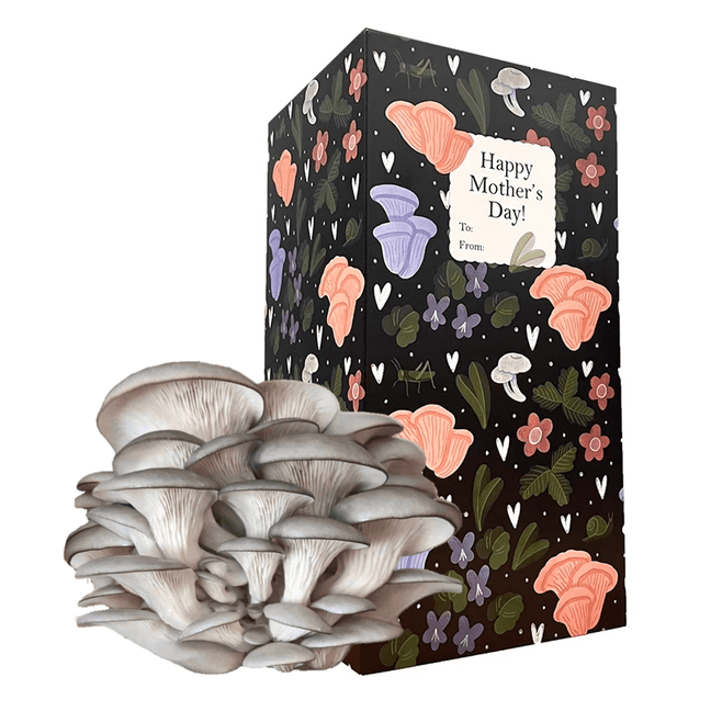 Mother's Day Organic 'Spray & Grow' Mushroom Growing Kit