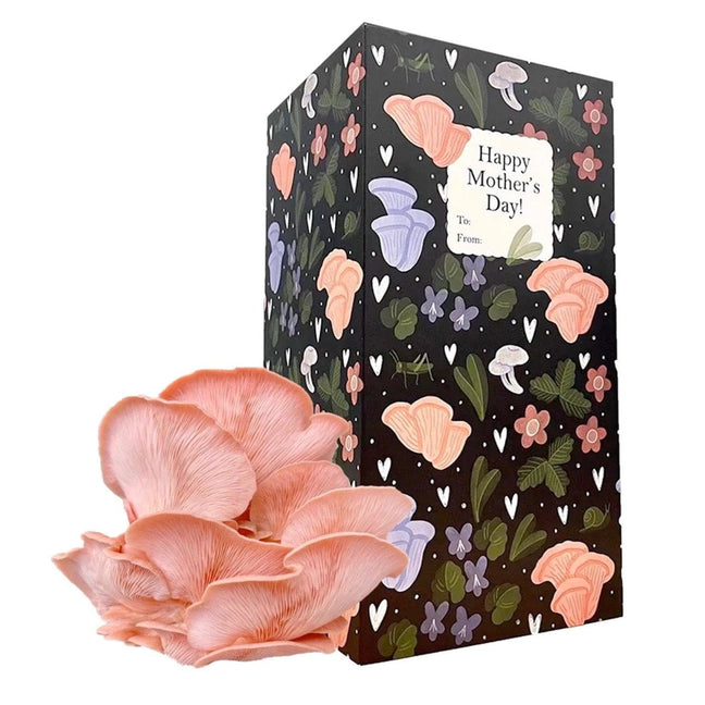 Mother's Day Organic 'Spray & Grow' Mushroom Growing Kit