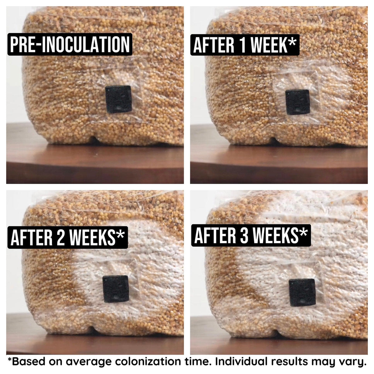 Sterile Substrate 8-Pack Organic Sterilized Grain Spawn Bags