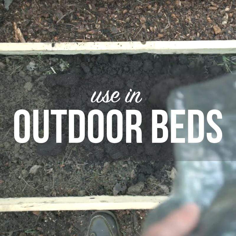 Substrate in an outdoor bed for growing mushrooms