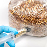 Image thumbnail: Sterile Substrate Organic Sterilized Grain Bag with Injection Port