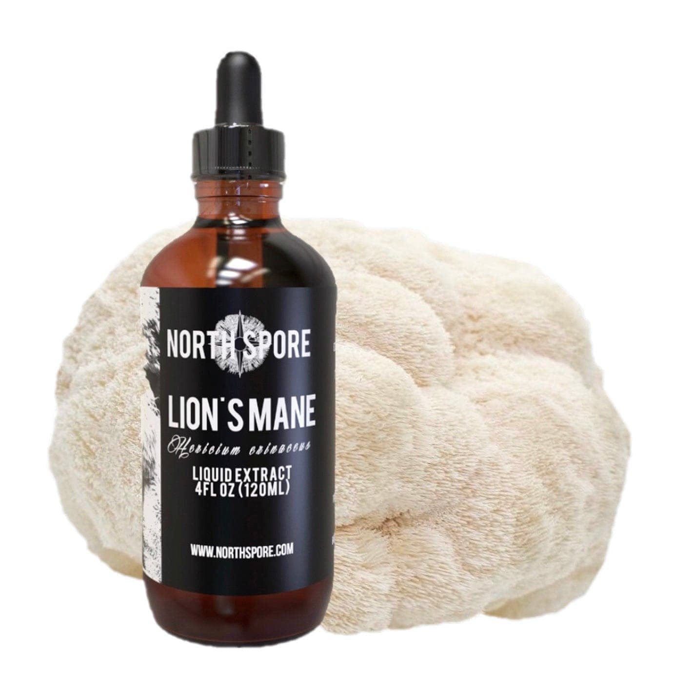 Best Lions Mane Tincture